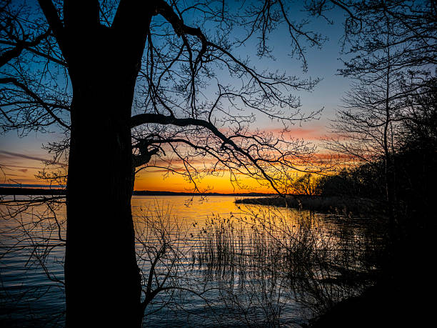 istock Beautiful sunset in Torgau, Germany 2211030527