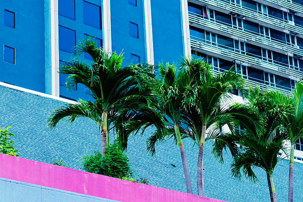 Beautiful tropical scene looking up at modern white building framed by tropical palm trees.
