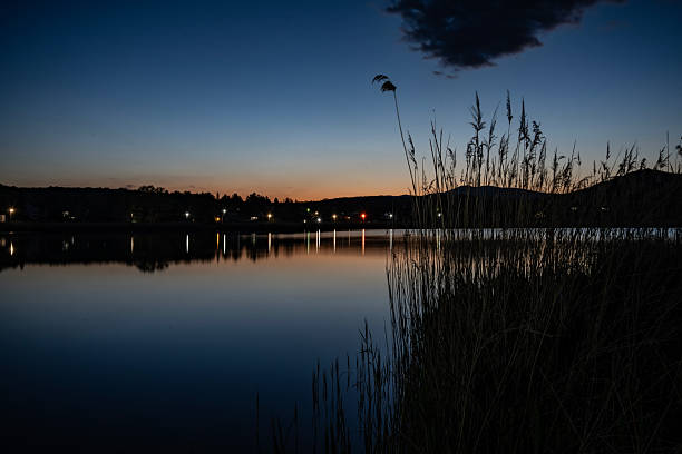 Peaceful twilight scene with a calm lake, glowing evening lights, and silhouetted reeds creating a relaxing and serene atmosphere.