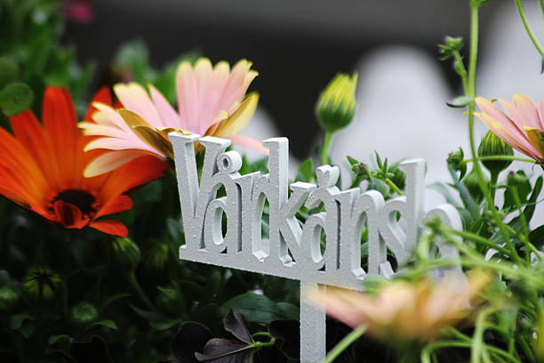 istock A Swedish flower sign saying : spring feeling 2211036627