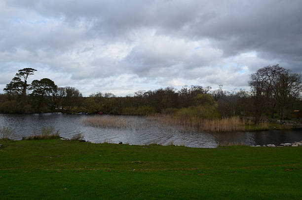 istock Storm Clouds Over a Wide River in Ireland 2211036790