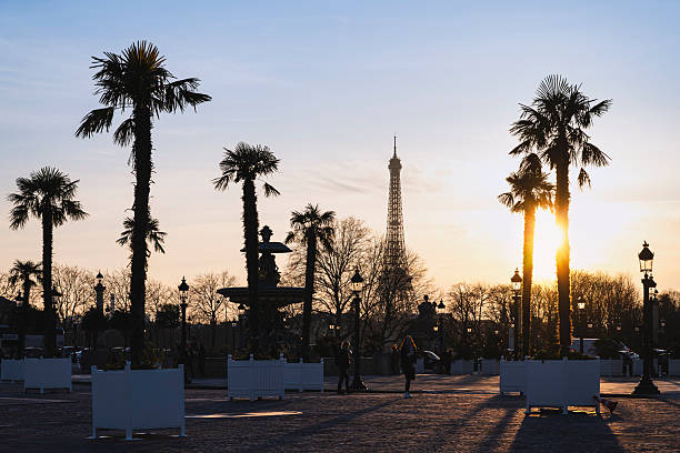 Sunset in Paris with palm trees on place de la Concorde, and Tour Eiffel in background. Paris in France, March 3, 2025