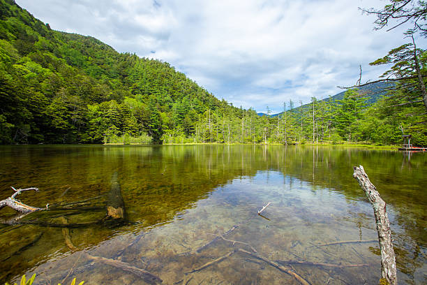 istock Fresh greenery in Kamikochi, Nagano Prefecture 2211040297