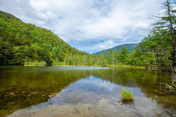 istock Fresh greenery in Kamikochi, Nagano Prefecture 2211040390
