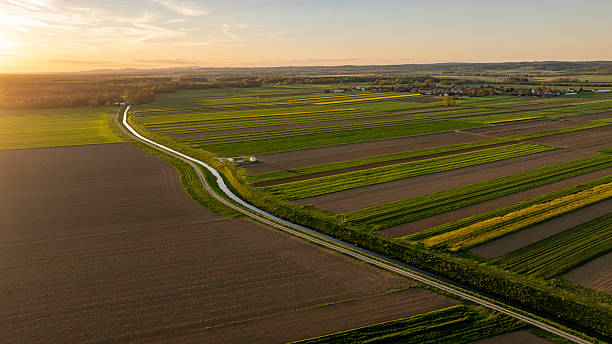 istock Golden Sunset Over Expansive Agricultural Fields with Winding Road 2211042696