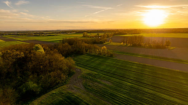 istock Golden Sunset Over Expansive Agricultural Fields and Forests 2211042700