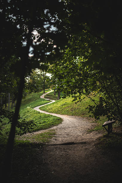A winding pathway leads through a lush, green forest with sunlight filtering through the leaves, creating shadows.