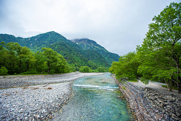 istock Fresh greenery in Kamikochi, Nagano Prefecture 2211044636
