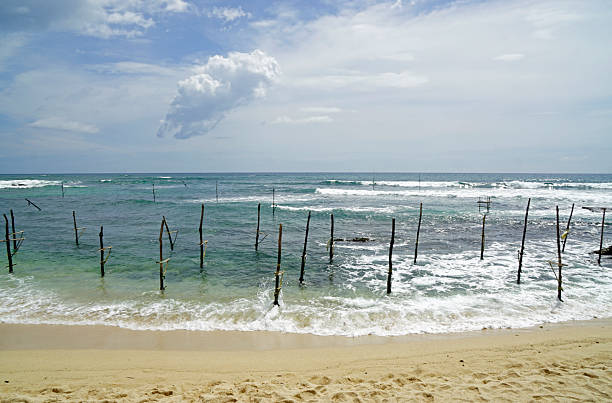 stlit firshing in sri lanka