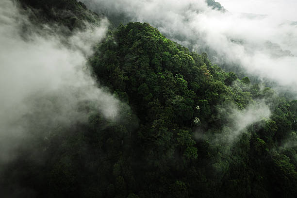 istock Aerial view of lush mountains on tropical island, Lombok 2211047607