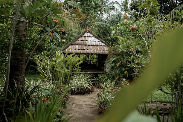 View through tropical garden to gazebo, Lombok