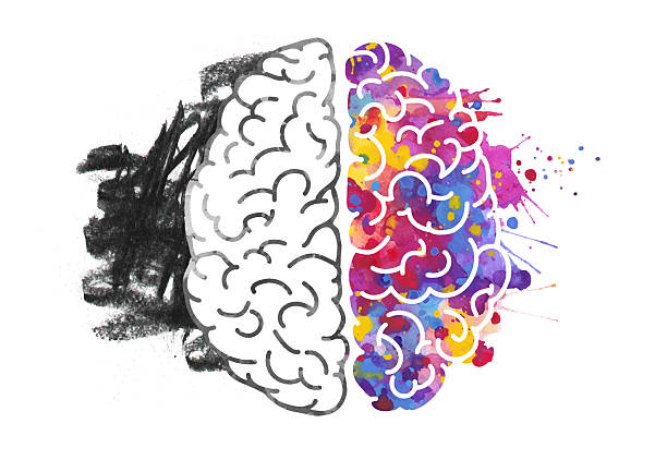 istock Conceptual Illustration of the Human Brain Depicting the Contrast Between Logical and Creative Thinking with One Side in Monochrome and the Other Vibrantly Colored, Representing Mental Health, Emotional Balance, and Cognitive Function 2211053515