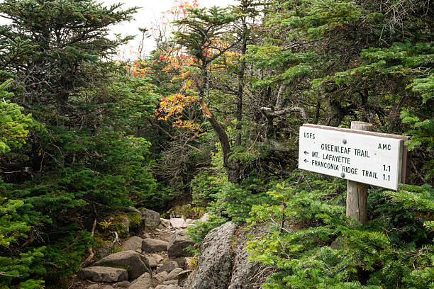 istock To Greenleaf Hut, Mt Lafayette, NH 2211061216
