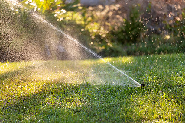 istock Automatic irrigation system with water sprinkler for maintaining grass lawn 2211065494