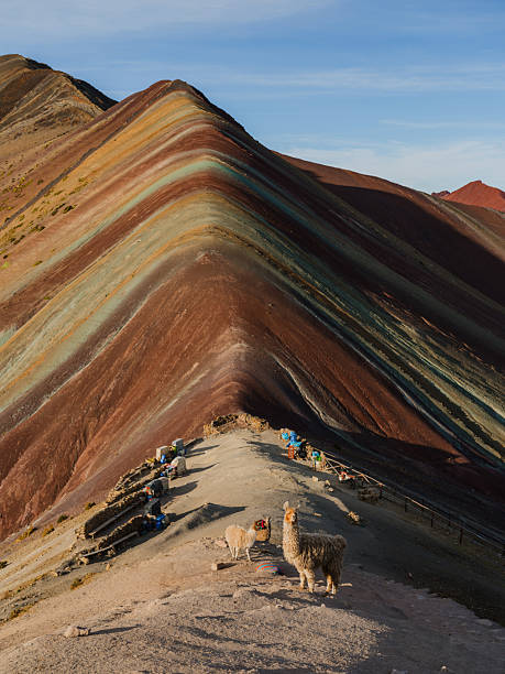istock Cute alpacas near Vinicunca Rainbow mountain in Peru 2211067117