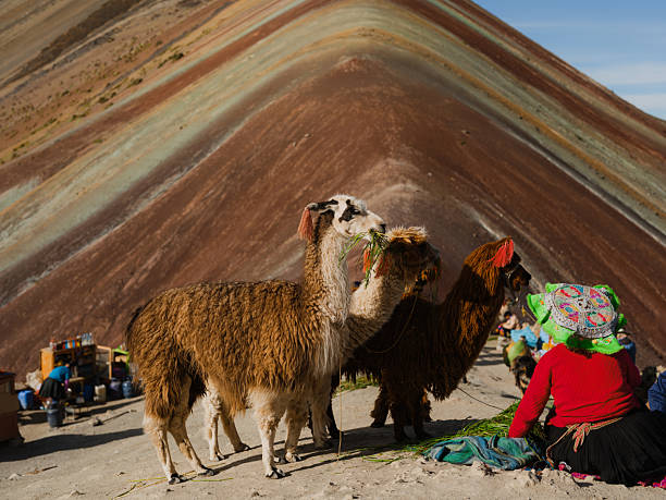 istock Indigenous  woman with alpacas near Rainbow Mountain in Peru 2211067710