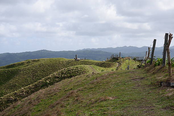 istock Vayang Rolling Hills of Basco, Batanes, Philippines 2211071276