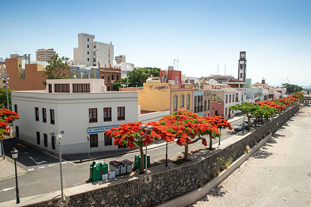 Cityscape of Santa Cruz de Tenerife. Canary Islands, Spain