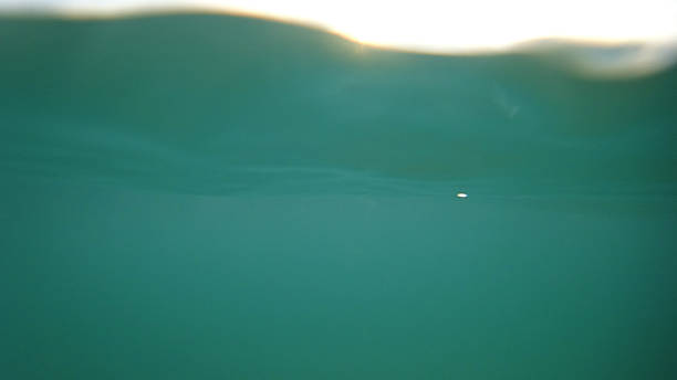 istock Underwater view of sunlight reflecting on water surface 2211077763