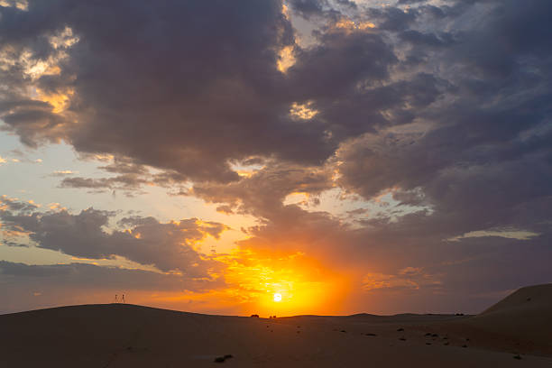 istock Beautiful clouds sunset sunrise with date palm tree in the desert sand dune Oasis 2211079238