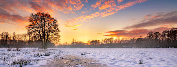 istock Beautiful winter sunset with lonely tree and frozen pond 2211080724