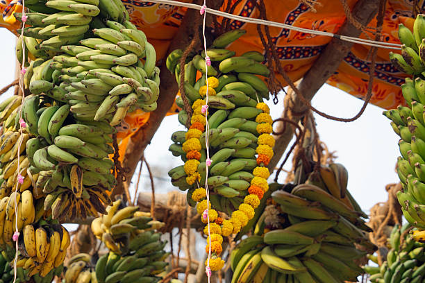 banana festival in goa
