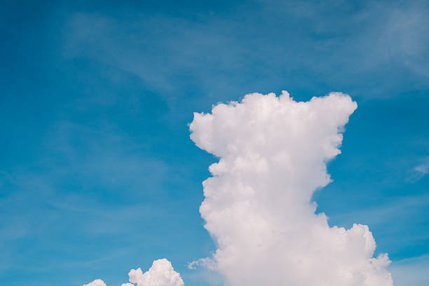 The beautiful blue sky, dotted with white clouds, glows under warm sunlight, painting a serene background that captures the peaceful essence of nature and weather.