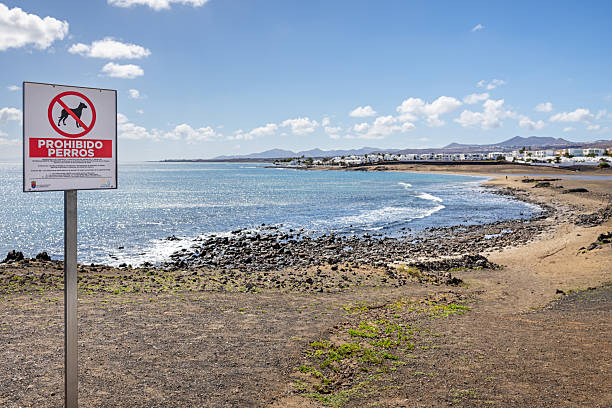 Arrecife, Lanzarote, Canary Islands, Spain - March 14th 2025: This image captures a clear prohibition sign against dogs on the beach in Arrecife, Lanzarote. The sign, featuring a bold red circle with a diagonal line crossing out a dog silhouette, ensures visitors are aware of local regulations. Positioned against the backdrop of Lanzarote’s rocky coastline, the sign serves as an important reminder of environmental and wildlife protection measures. The surrounding landscape, with waves crashing onto the shore and distant buildings, highlights the balance between tourism and conservation efforts.