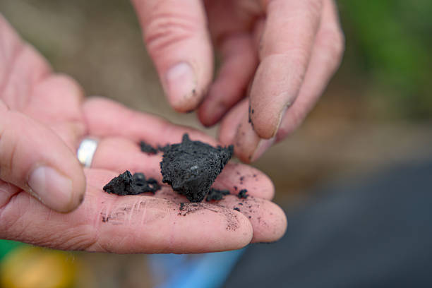 istock Close-up of biochar, produced through wood pyrolysis, a sustainable solution for carbon sequestration. Ideal for themes around CO2 reduction, climate change, and eco-friendly technology 2211087567