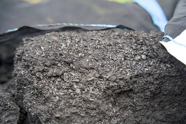 istock Close-up of biochar, produced through wood pyrolysis, a sustainable solution for carbon sequestration. Ideal for themes around CO2 reduction, climate change, and eco-friendly technology 2211087603