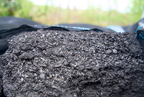 Close-up of biochar, produced through wood pyrolysis, a sustainable solution for carbon sequestration. Ideal for themes around CO2 reduction, climate change, and eco-friendly technology