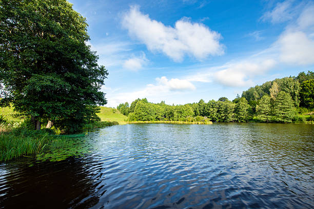 istock Beautiful summer day over the lake 2211090556