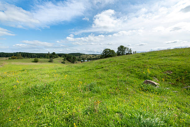 istock Beautiful summer landscape with green fields and blue sky 2211092061