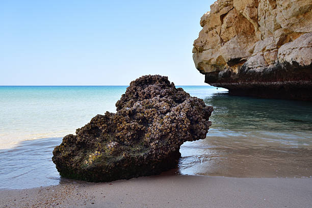 istock Al-Khesah Beach - Shiya. Oman 2211098344