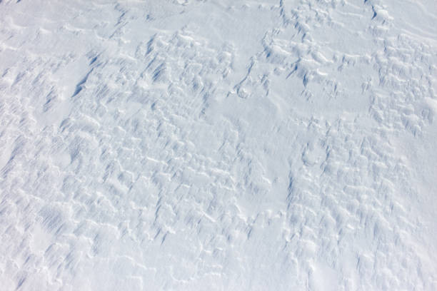 The snow is a bright white color and it covers the ground in a thick layer. The snow is so deep that it almost reaches the ground, creating a beautiful and serene winter landscape