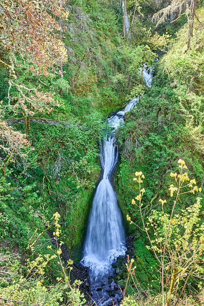 istock Shepperd's Dell Water Fall in Oregon 2211101861