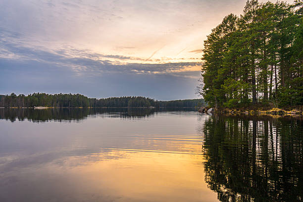istock Teijo National Park, Finland. 2211102275