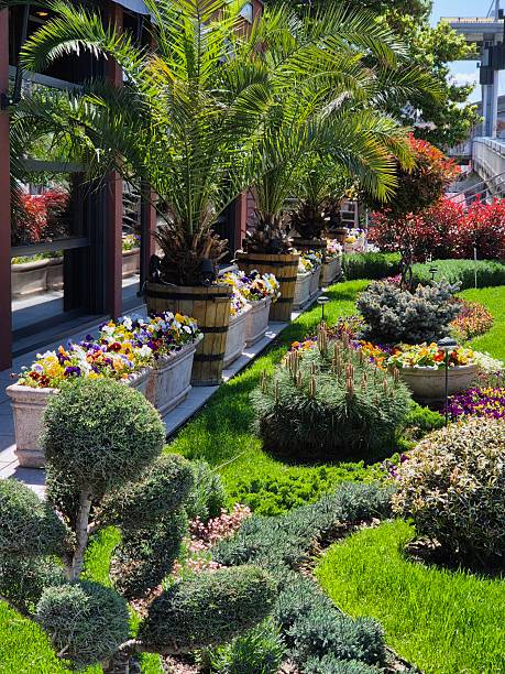 istock tropical garden with palm trees and flowers 2211102629