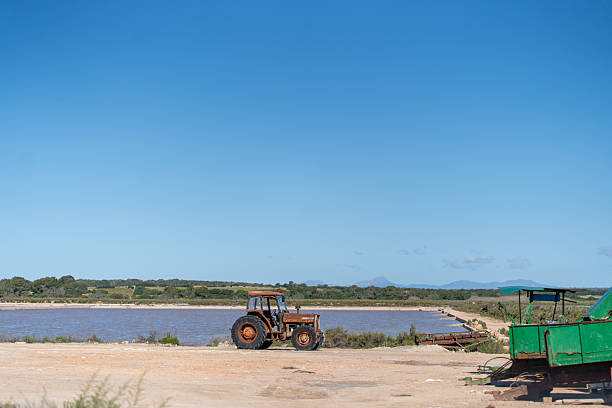 Ses Salines (Catalan pronunciation: [səs səˈli.nəs], locally [sətsəˈli.nəs]) is a small municipality in the south of Majorca, one of the Balearic Islands, Spain.In the image you can see the salt flats, where salt is produced naturally.
