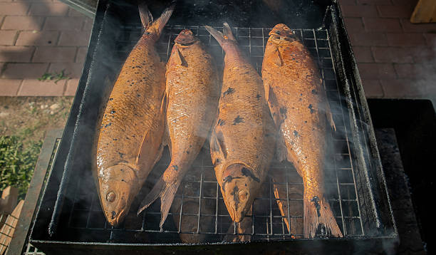 smoking european eel
