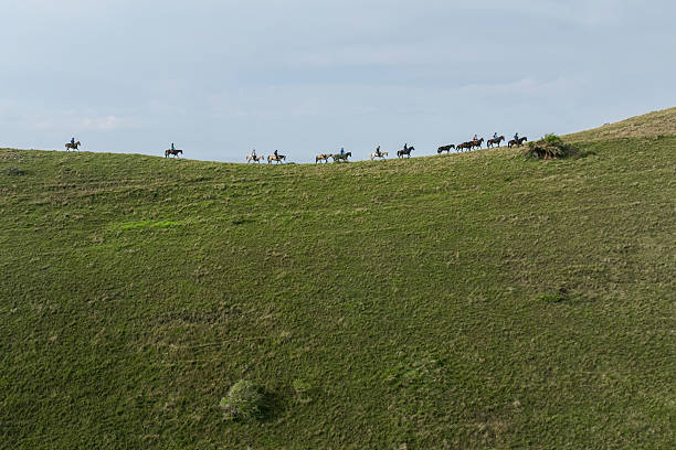 A row of saddled horses stands patiently in the warm sunlight at a countryside ranch
