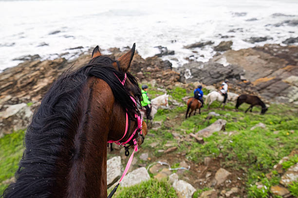 istock View From the Saddle Along South Africa’s Ocean Cliffs 2211125002