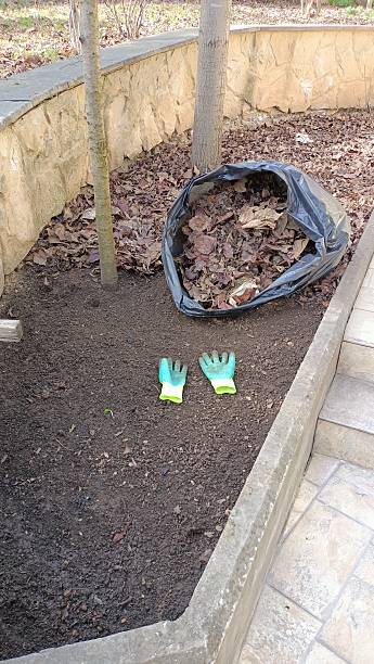 istock Preparing a Beautiful and Functional Garden Bed for Planting Various Vegetables and Flowers 2211127655