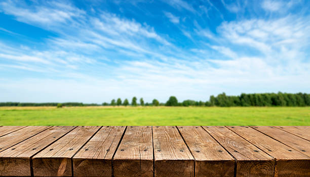 istock Empty wooden table with summer meadow in background 2211128013