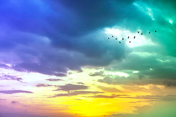 A stunning colorful sunset sky features vibrant clouds and birds in flight, creating a tranquil and picturesque view perfect for nature lovers and photographers.