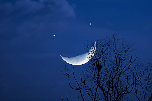Bright Full Moon, Milk Way and shooting star above landscape silhouettes