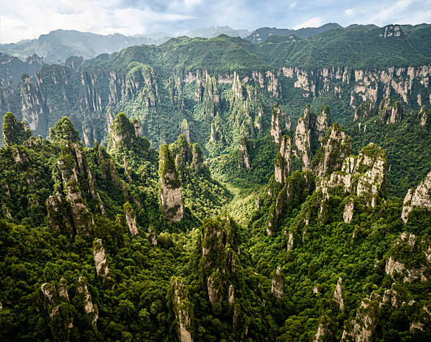 istock Dramatic Tianzi Mountain landscape revealing massive quartzite pillars surging through verdant forest canopy under misty cloud-veiled sky in Zhangjiajie National Forest Park 2211132490