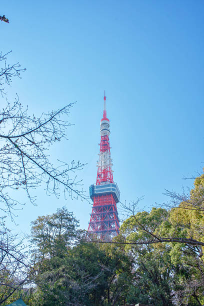 istock Tokyo Tower, Japan under the blue sky 2211133684