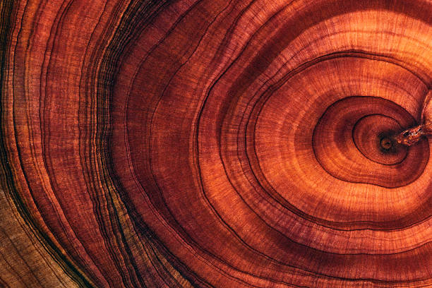 istock Full frame shot of wooden floor 2211138541