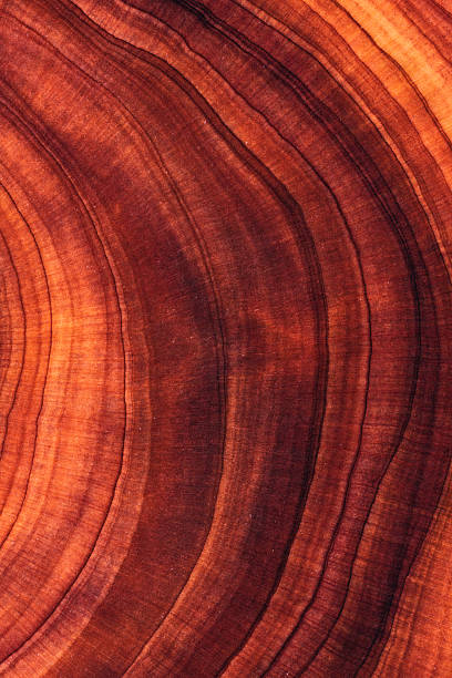 istock Full frame shot of wooden floor 2211138544